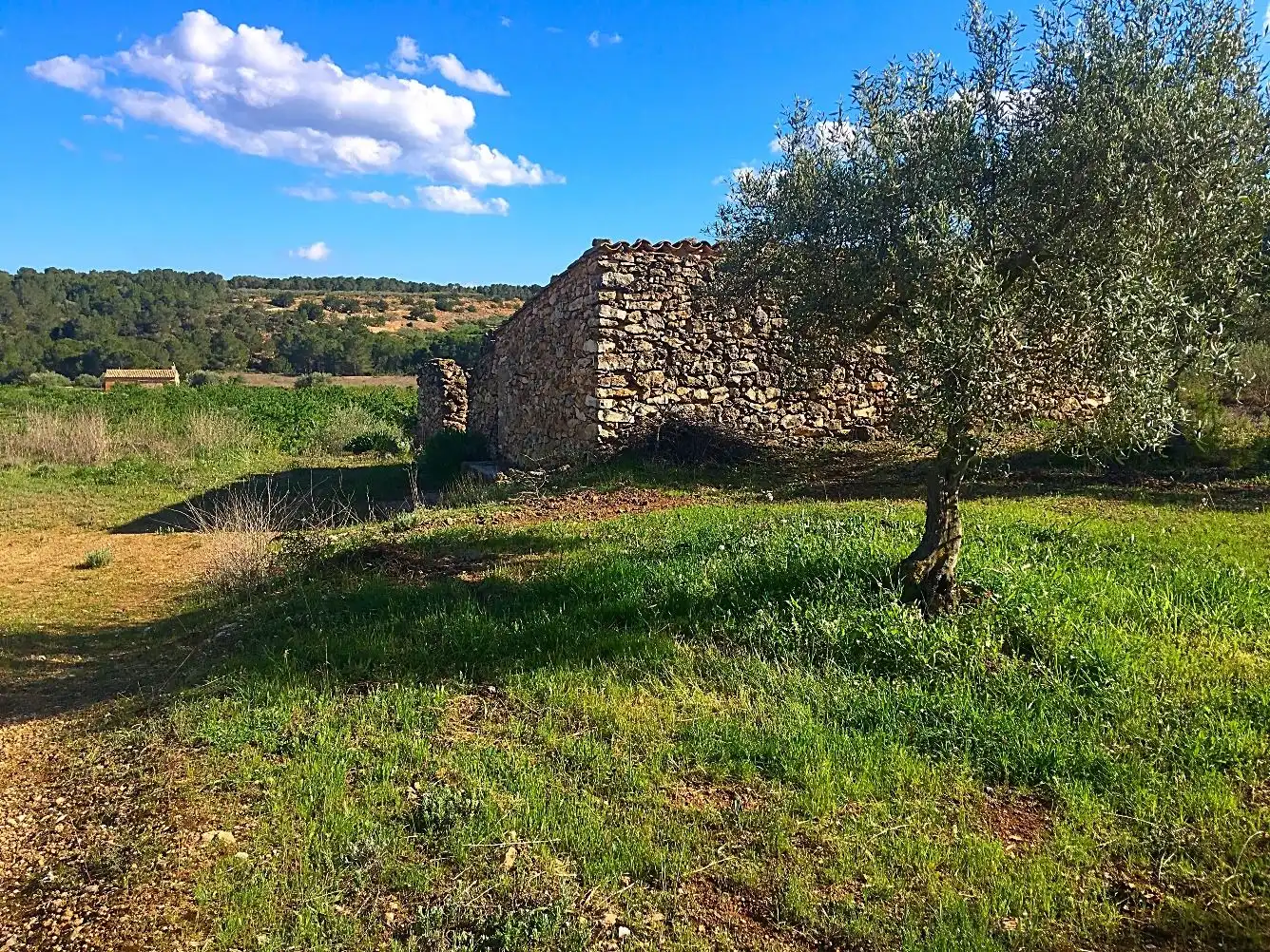 Casa rustica in vendita a Rasquera, imagen 11