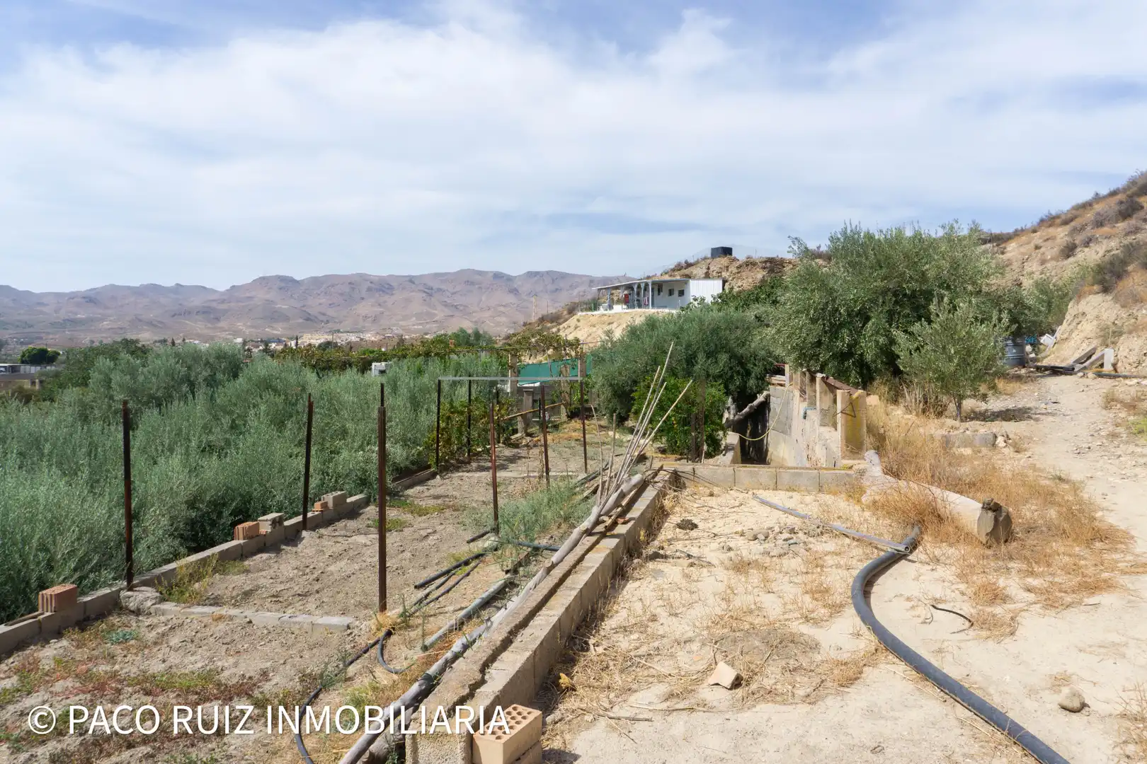 Terreno rustico in vendita a Rioja, imagen 11