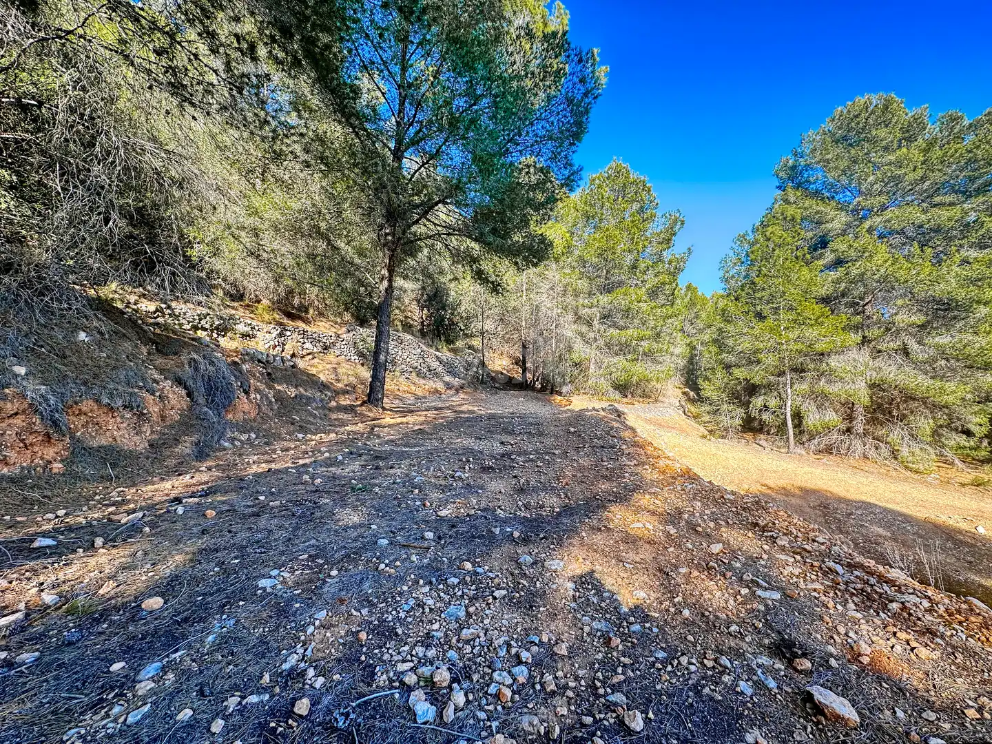 Terreno en venta en Polop