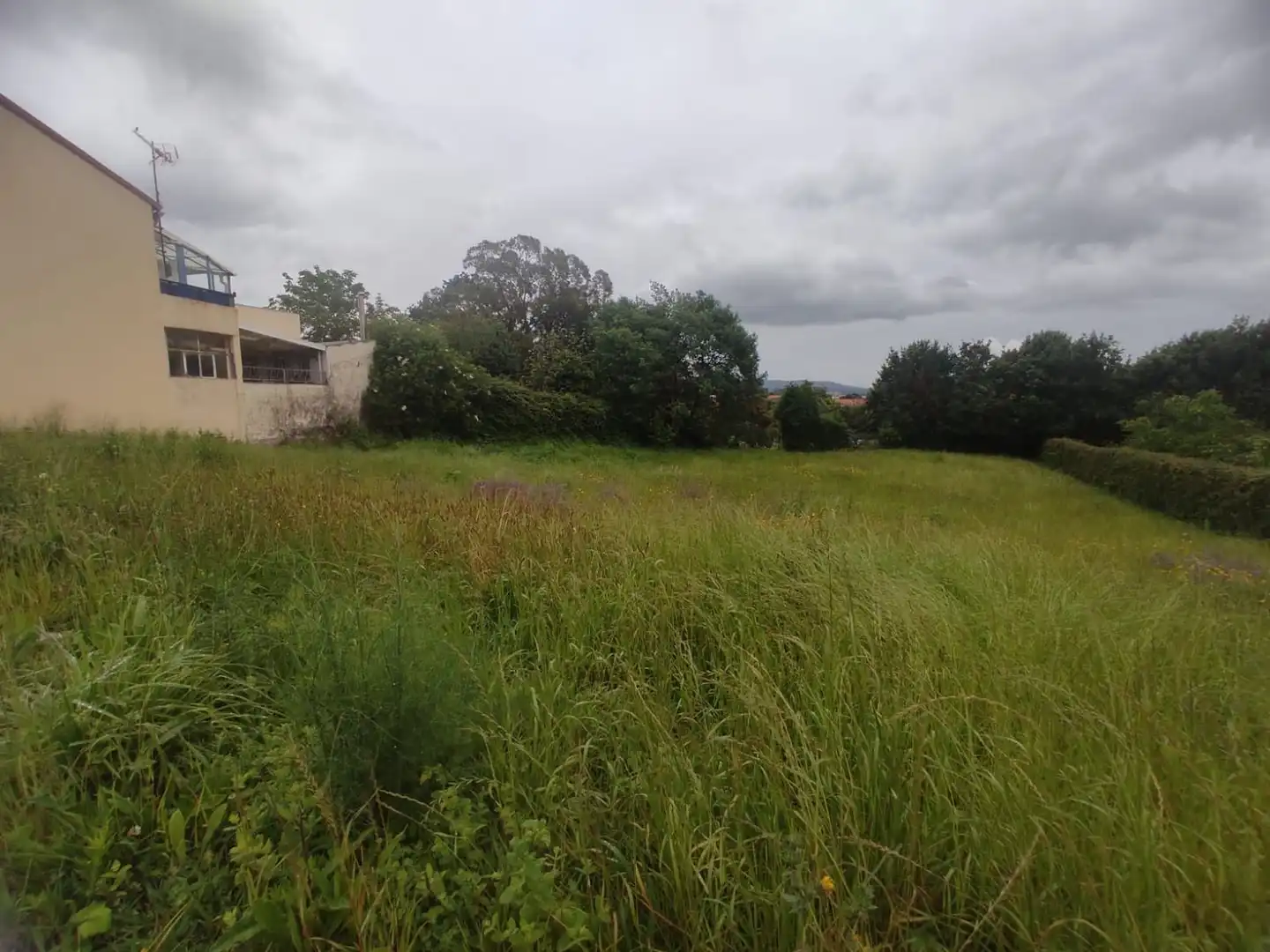 Terreno rústico en venta en Camino de San Pedro 195, imagen 2