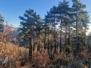 Residential land for sale in Diseminado Rust Muntanyola 27, imagen 4