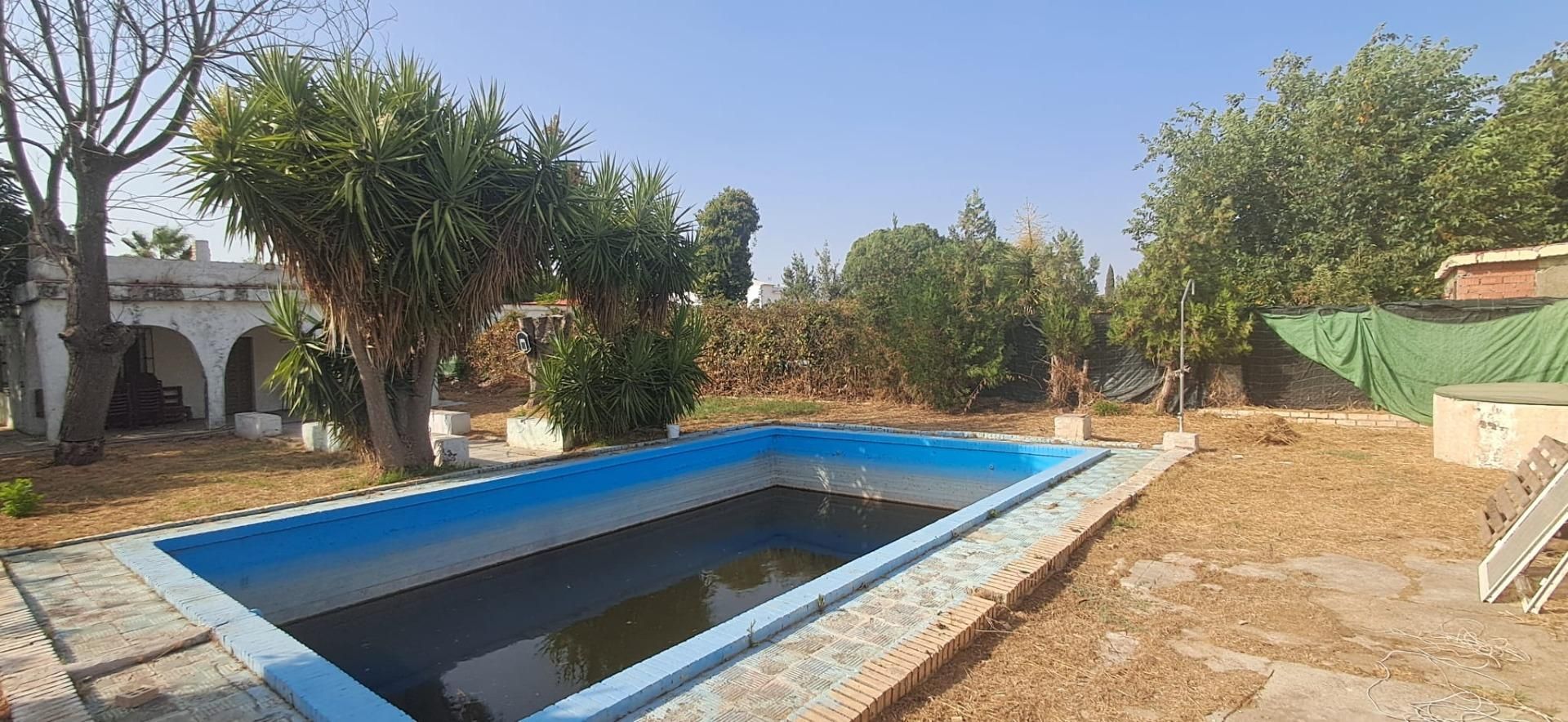 Swimming pool of House or chalet for sale in Utrera