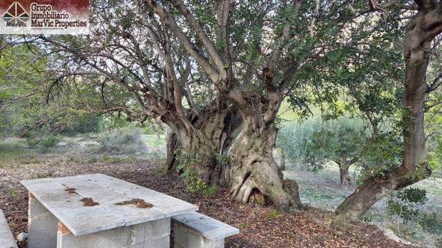 Terreno residencial en Venta en Benifato