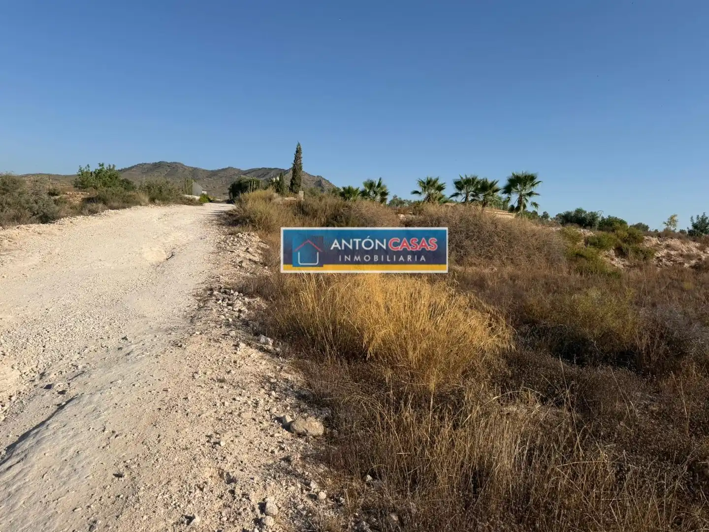 Rural land for sale in Novelda, imagen 2