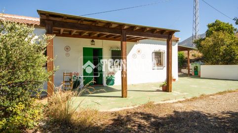 Foto 5 de Finca rústica en venda a Canillas de Aceituno, Málaga