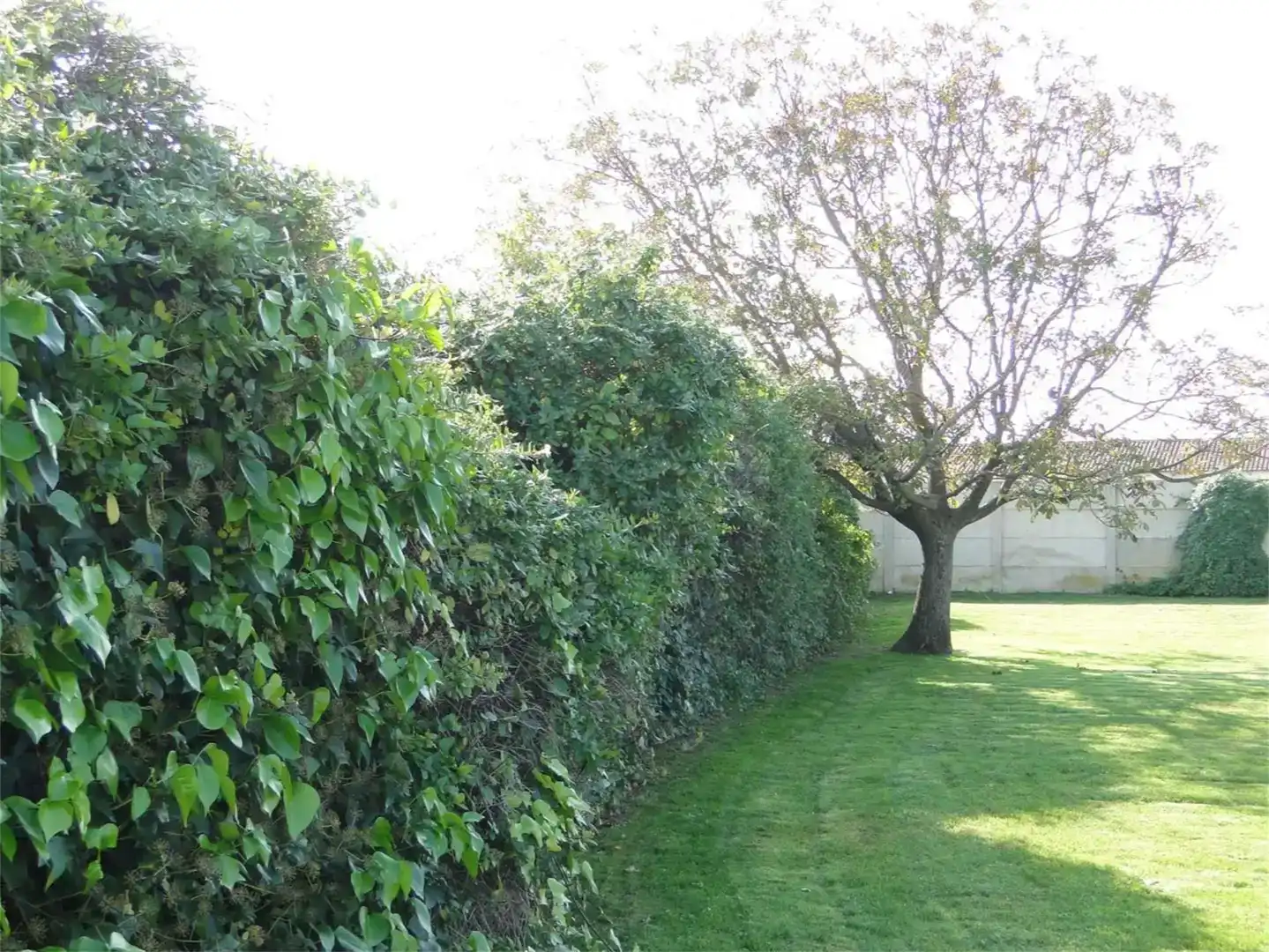 Jardí de Casa o xalet en venda en Haro amb Jardí privat, Piscina i Balcó