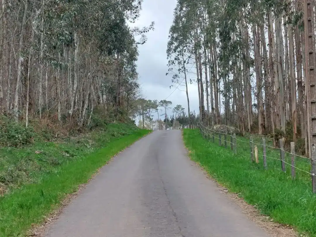 Vista exterior de Finca rústica en venda en Vilasantar amb Aire condicionat