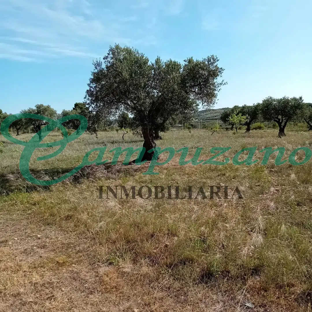 Land for sale in Chinchón