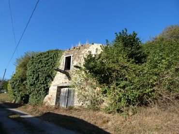 Terreni e lotti in vendita a Tineo