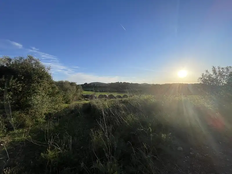 Finca rústica en venda en Manacor