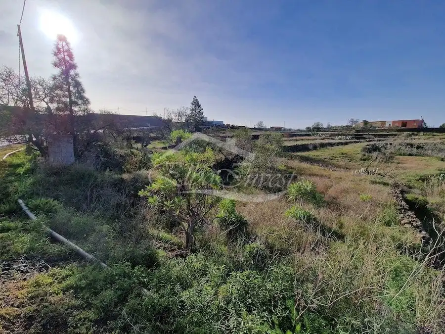 Terreno rústico en venta en Vilaflor de Chasna, imagen 12