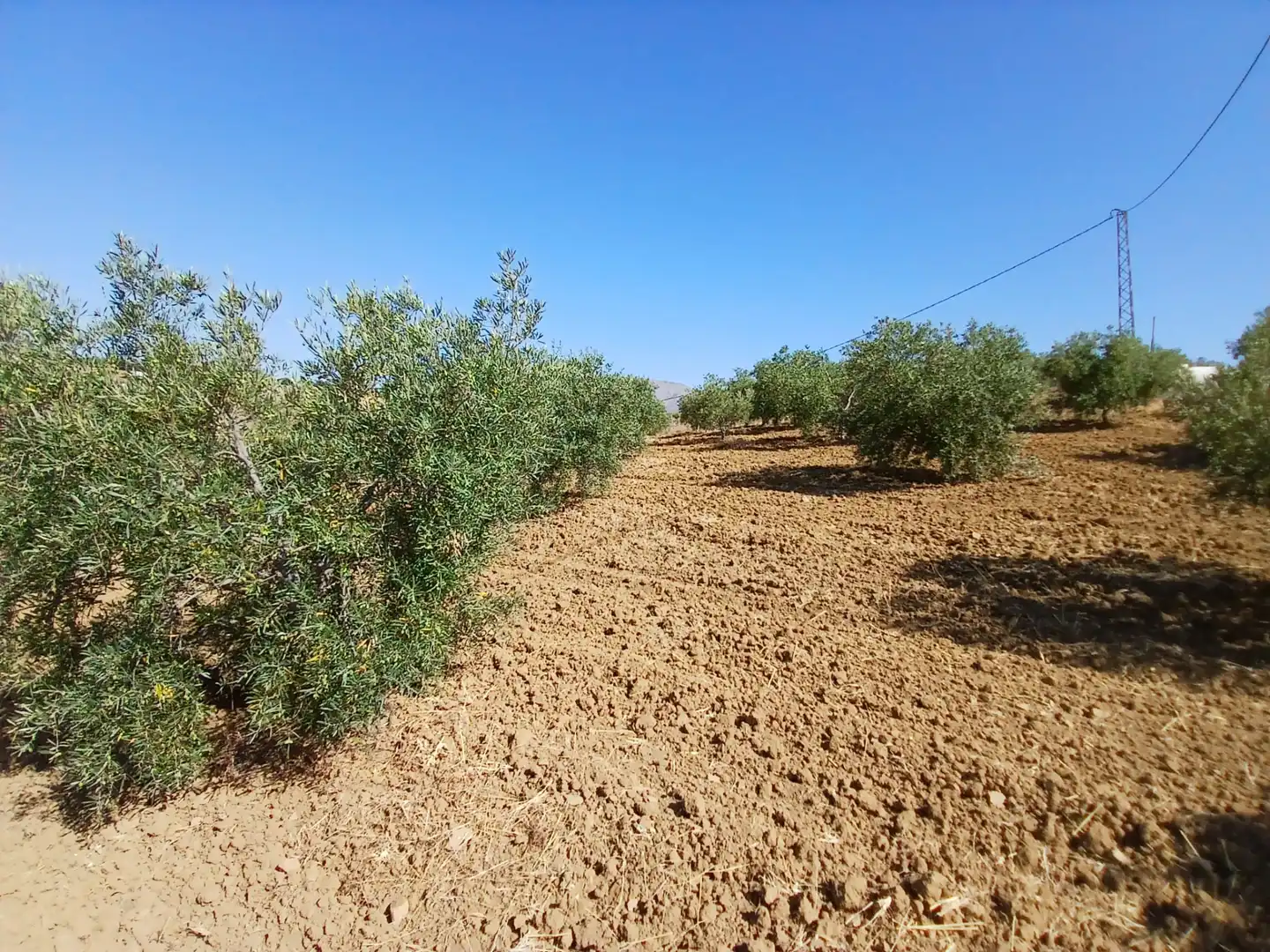 Terreno en venta en N/A, Álora