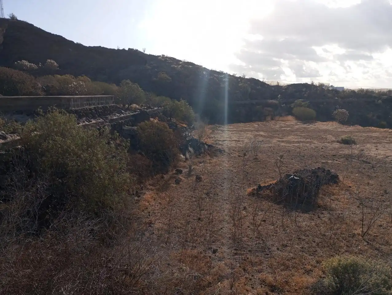 Rural land for sale in Alcalá, imagen 3