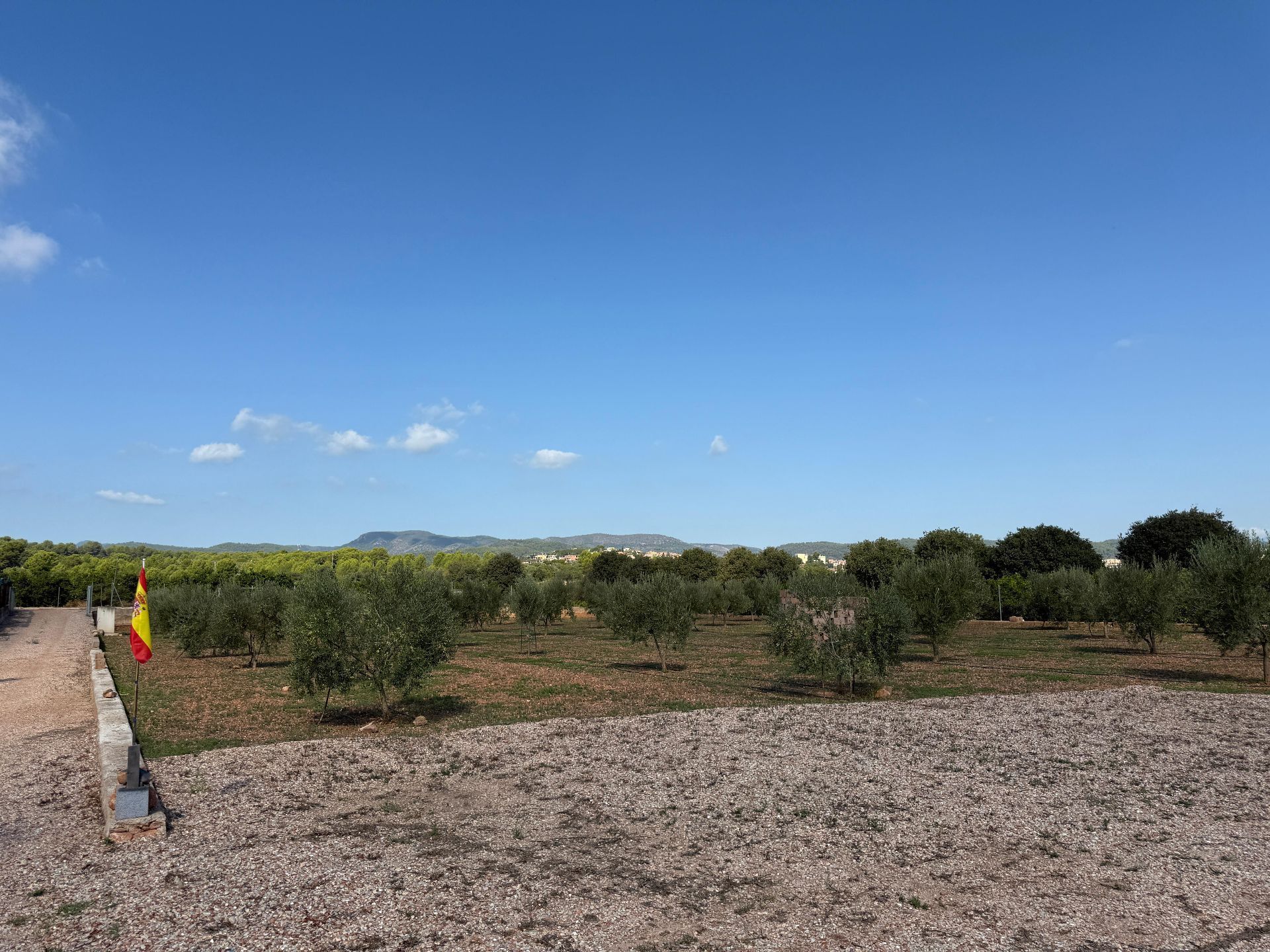 Land for sale in Onda