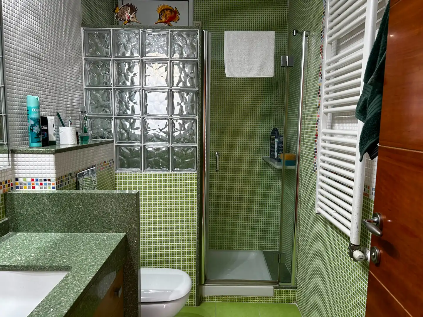 Bany de Casa o xalet en venda en Tordera amb Jardí privat i Terrassa