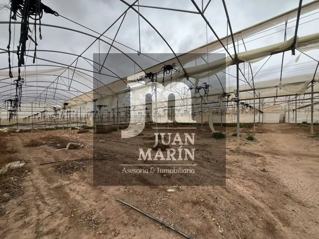 Garden of Land for sale in Ontur