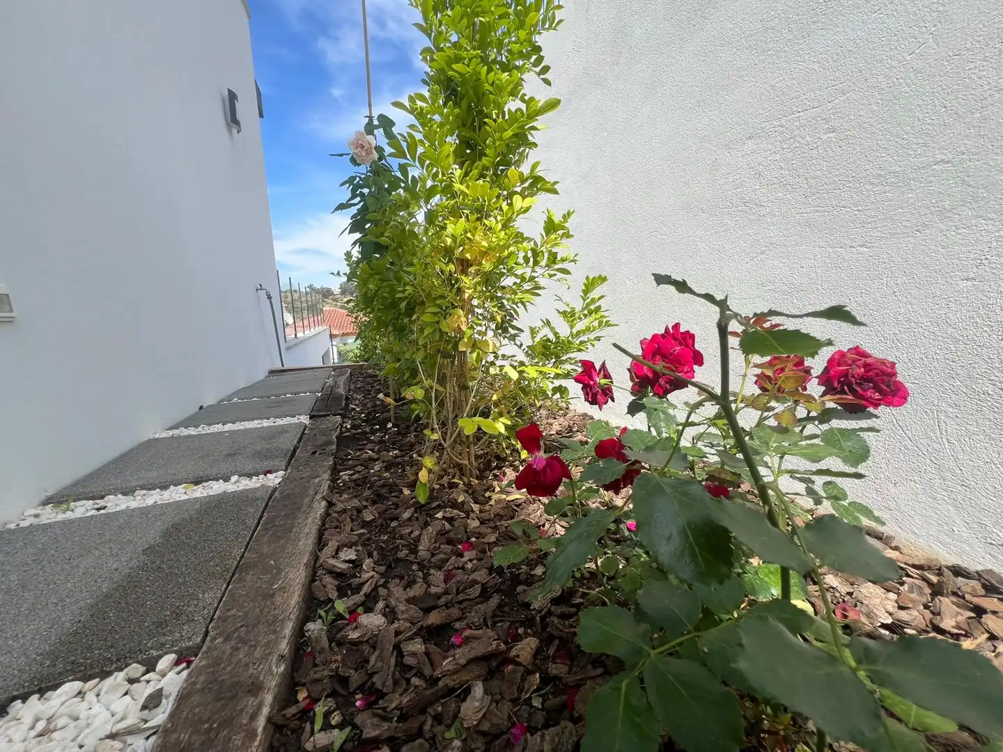 Villa avec piscine à vendre à Calle Apero, imagen 61