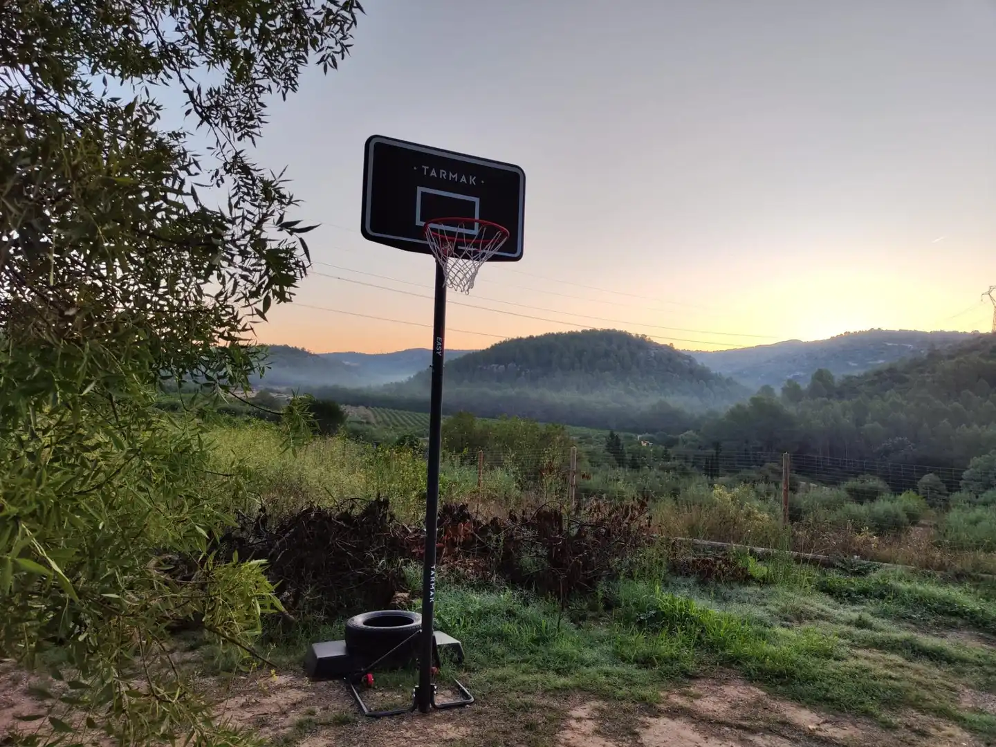 Vista exterior de Finca rústica en venta en Castellet i la Gornal con Jardín privado