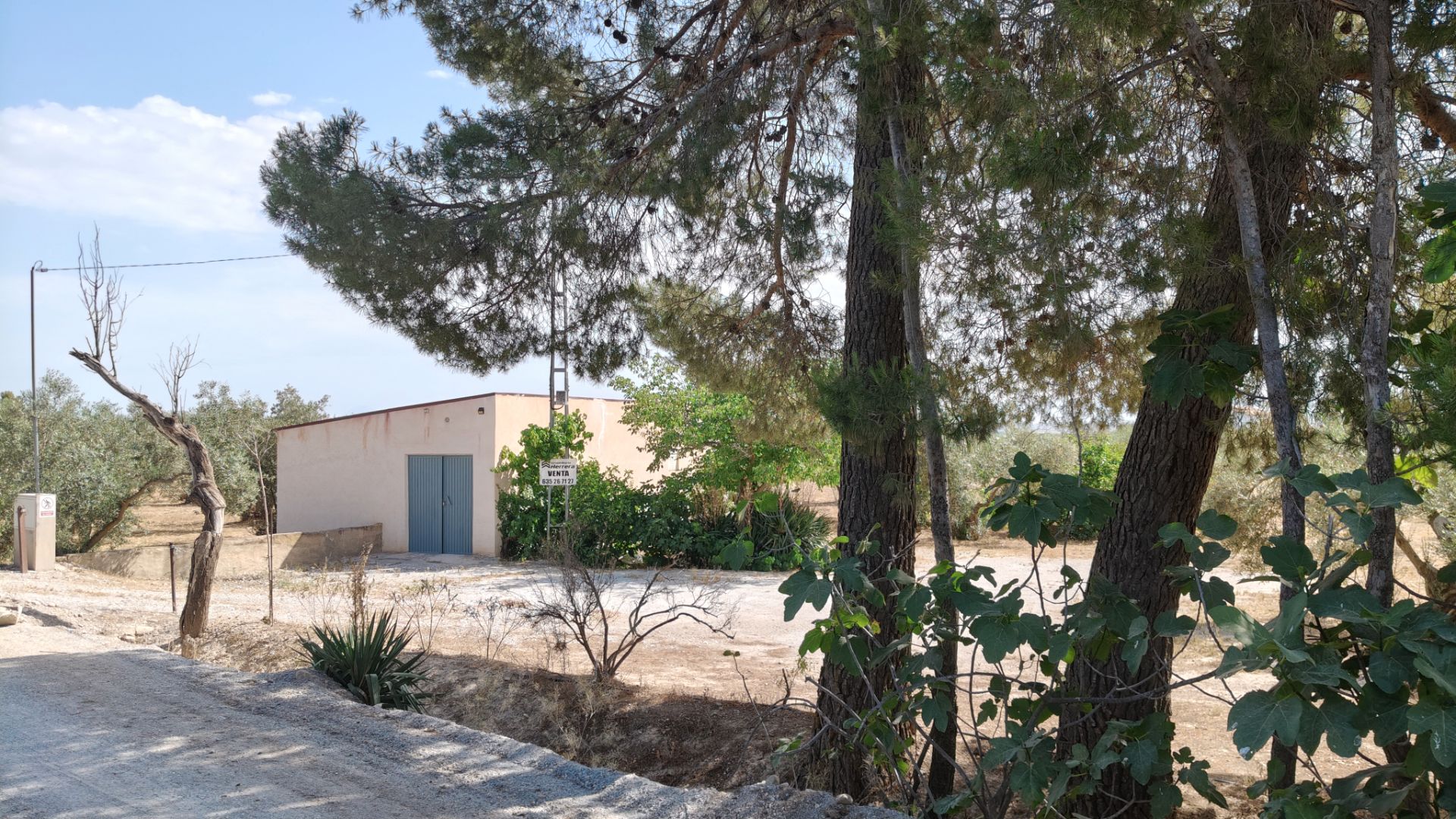 Exterior view of House or chalet for sale in Baza