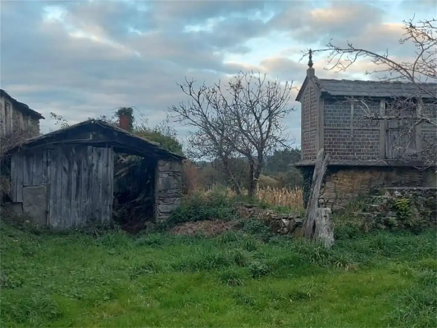 Finca rústica en venda en Aranga