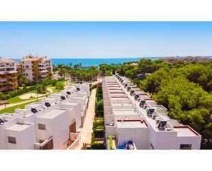 Vista exterior de Finca rústica en venda en Torrevieja amb Aire condicionat, Piscina i Piscina comunitària