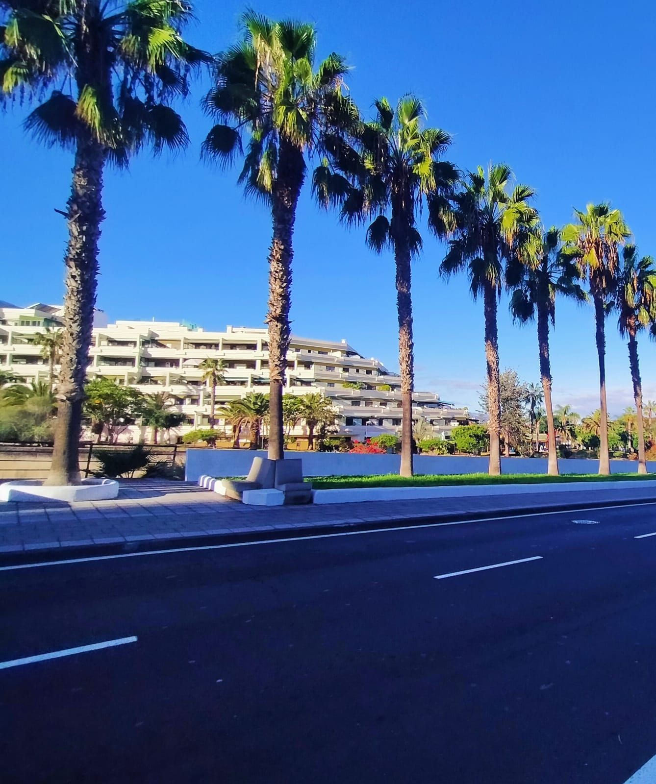 Flat for sale in Playa Jardín