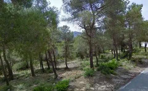 Terreny rústic en venda a CL TORRELLES (PARCELA 610L) Nº 78, imagen 12