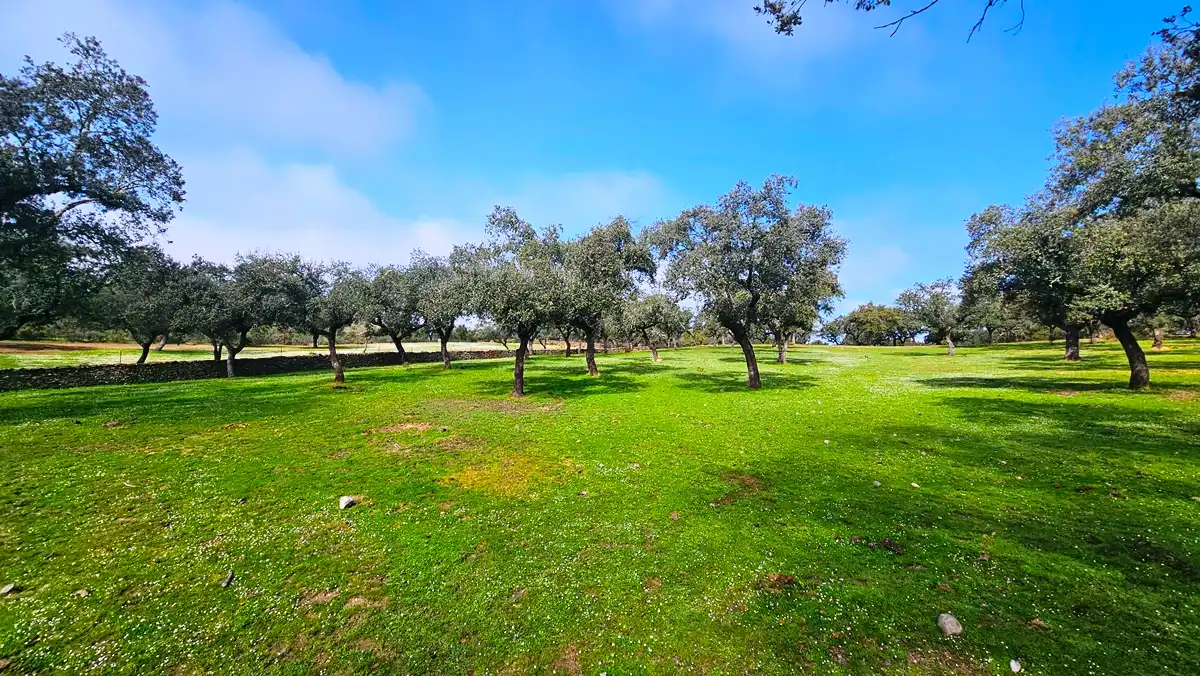 Terreni e lotti in vendita a Santa Olalla del Cala, imagen 4