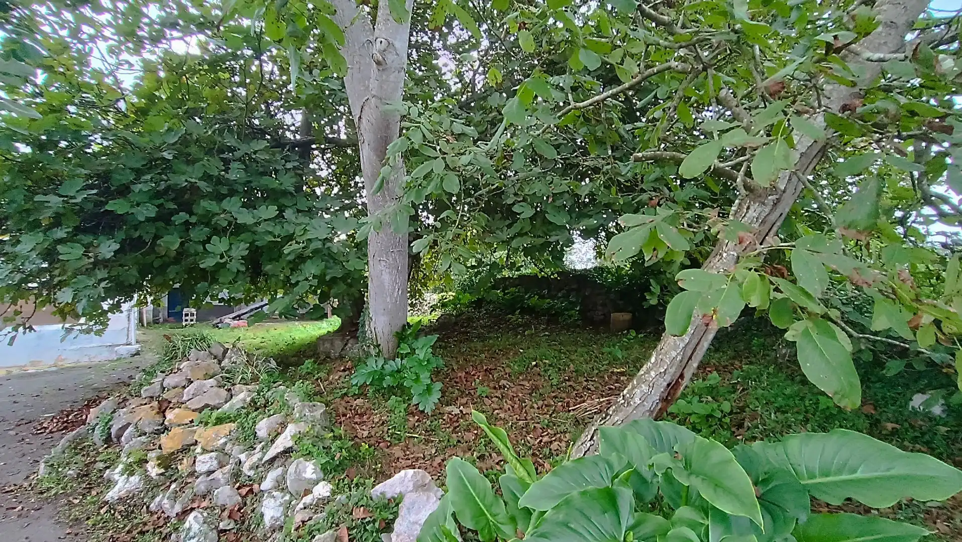 Country homes for sale in Llanes  with Private garden