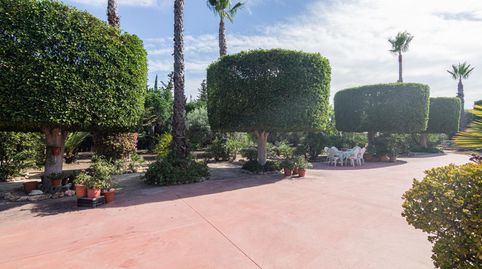 Foto 3 de Casa o xalet en venda a Perleta, 1167, Perleta - Maitino, Elche / Elx