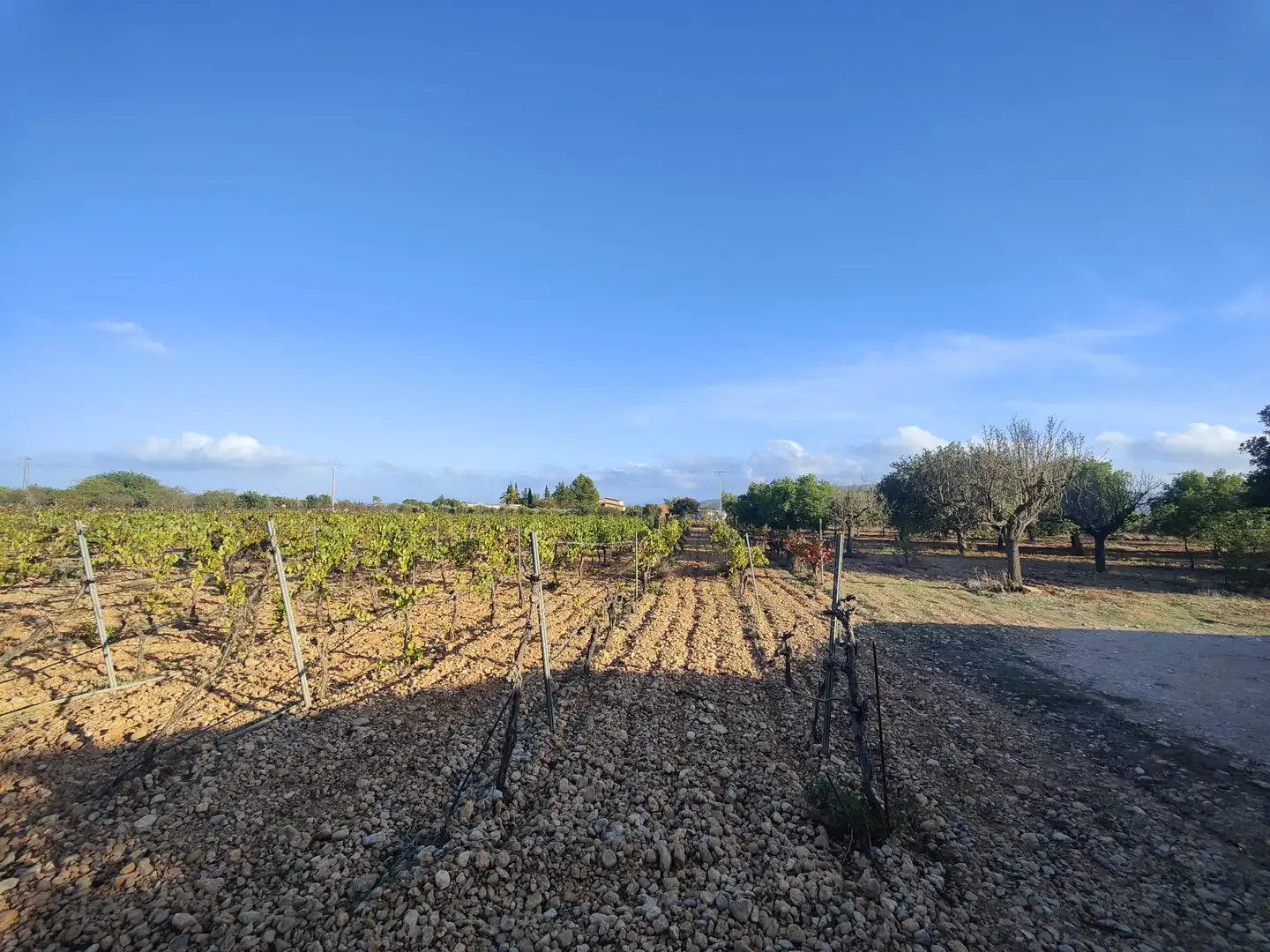 Residencial en venda en Consell