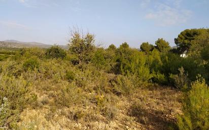 Land for sale in Casco Antiguo