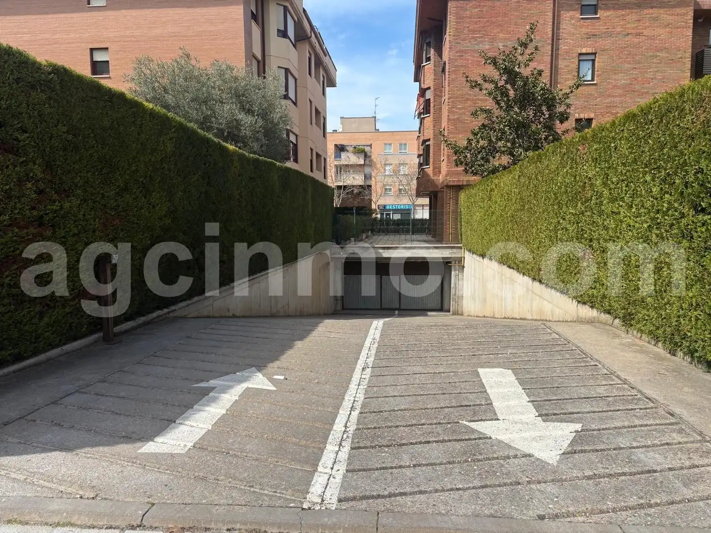 Piso de alquiler en Calle Ribera de Carrión, Parque Alameda - Paula López