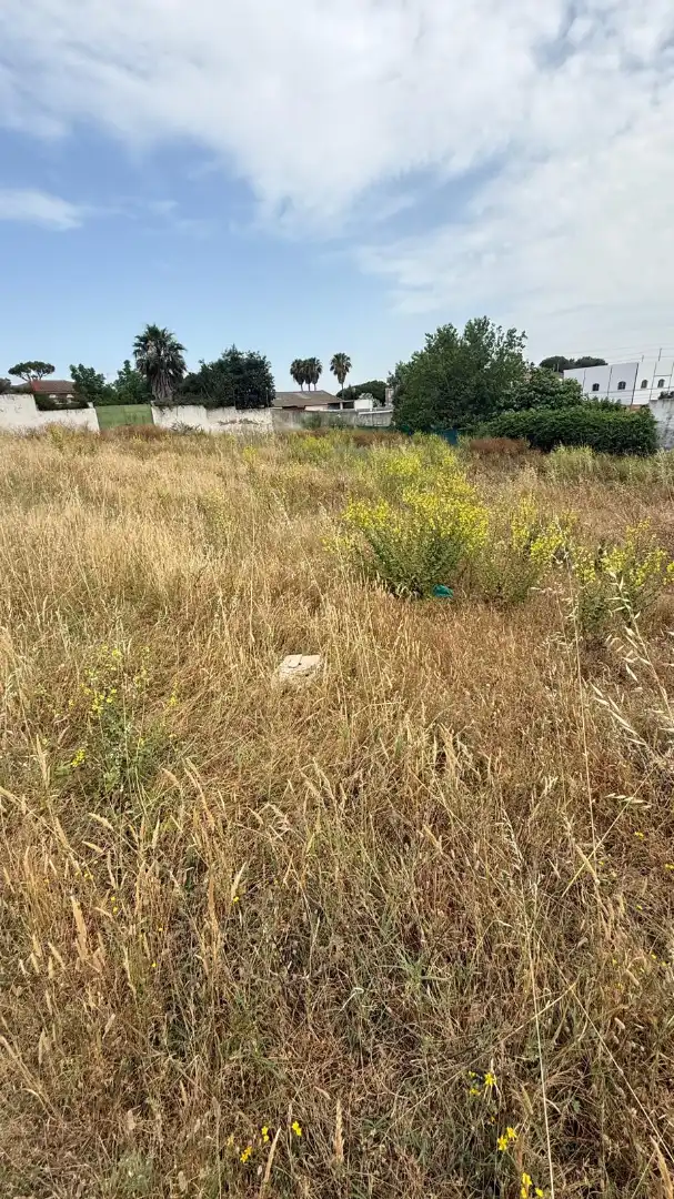 Rural land for sale in El Juncal - Vallealto, imagen 4