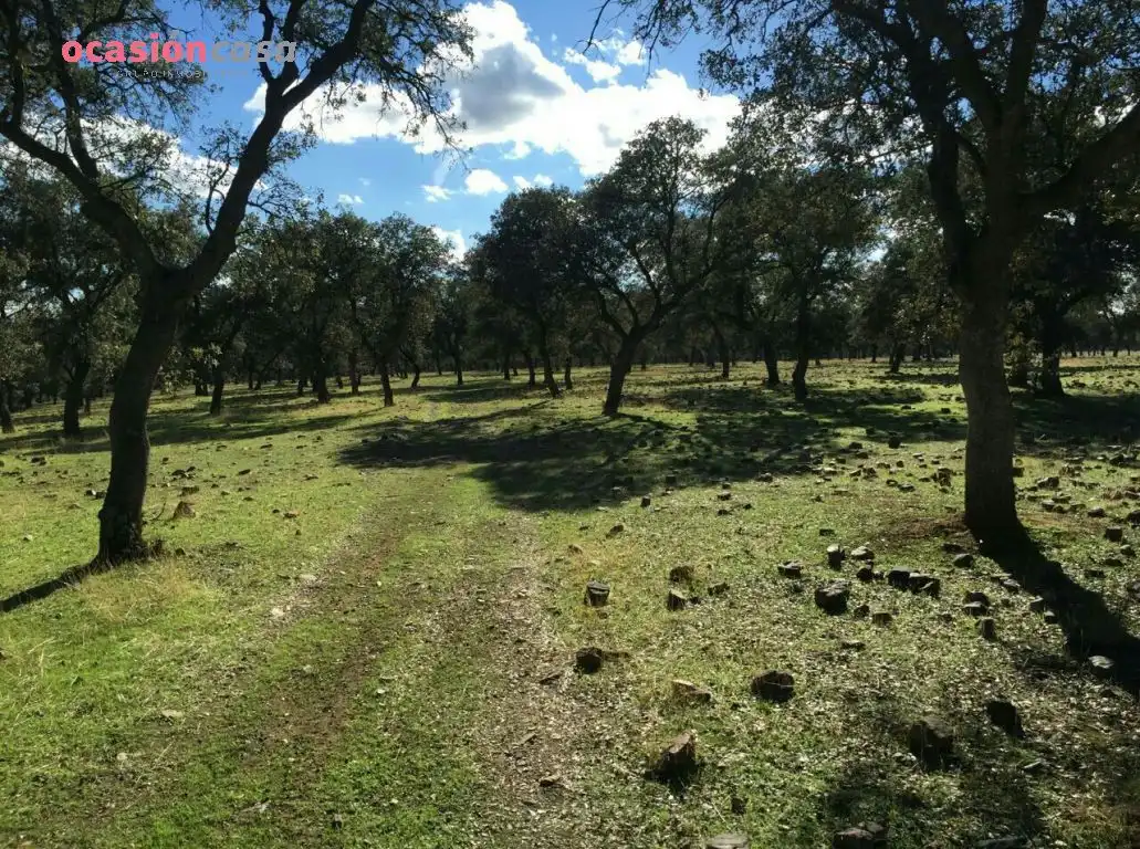 Country homes for sale in Torrecampo