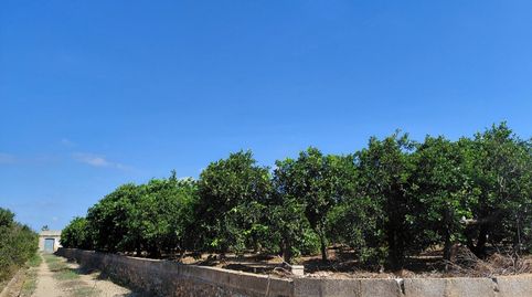 Foto 2 de Terreno en venta en Pl. Poligono 11, Urbanitzacions i Pedanies Nord, Alzira