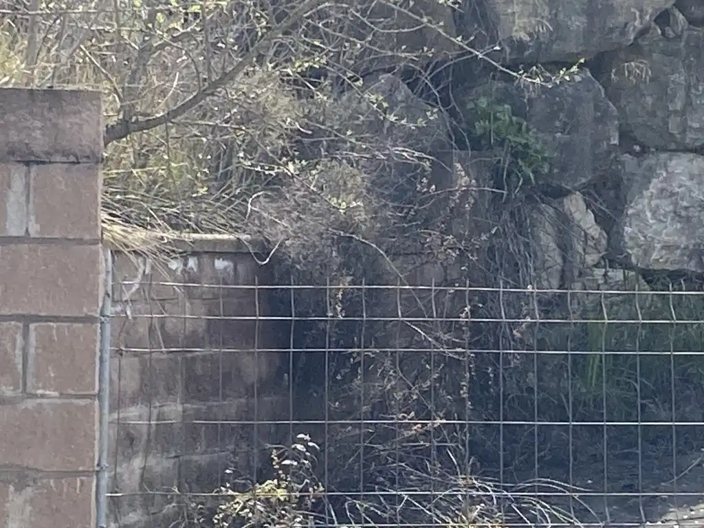 Jardí de Casa o xalet en venda en Castellbell i el Vilar