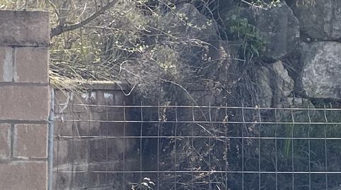 Photo 3 of Houses for sale in Calle Mas Ventos, Castellbell i el Vilar, Barcelona