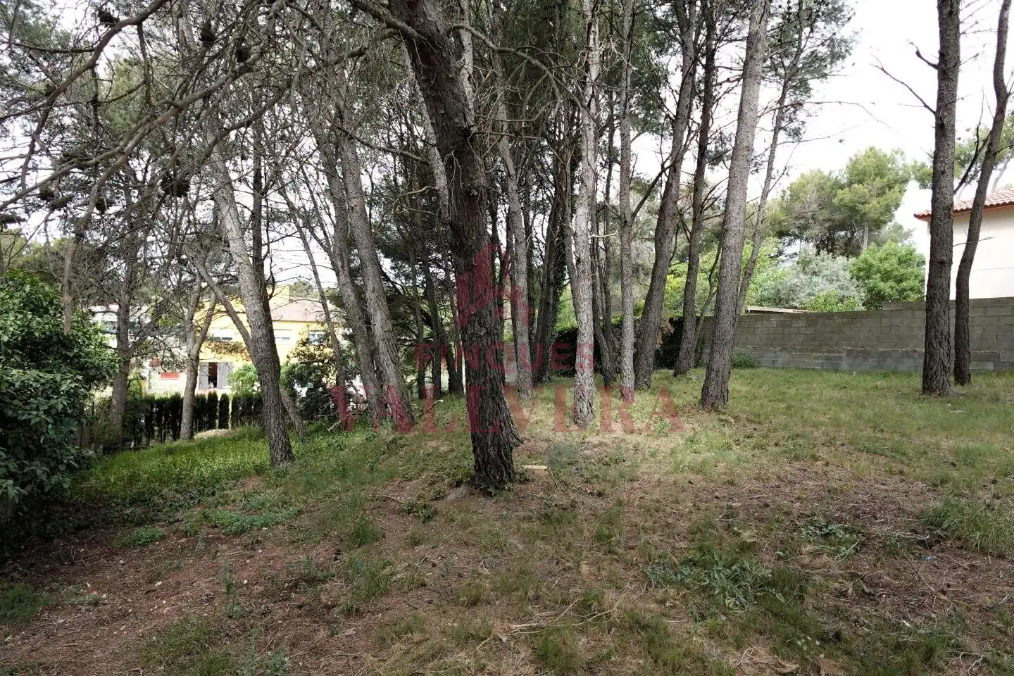 Terreny residencial en venda a Cabra del Camp, imagen 3