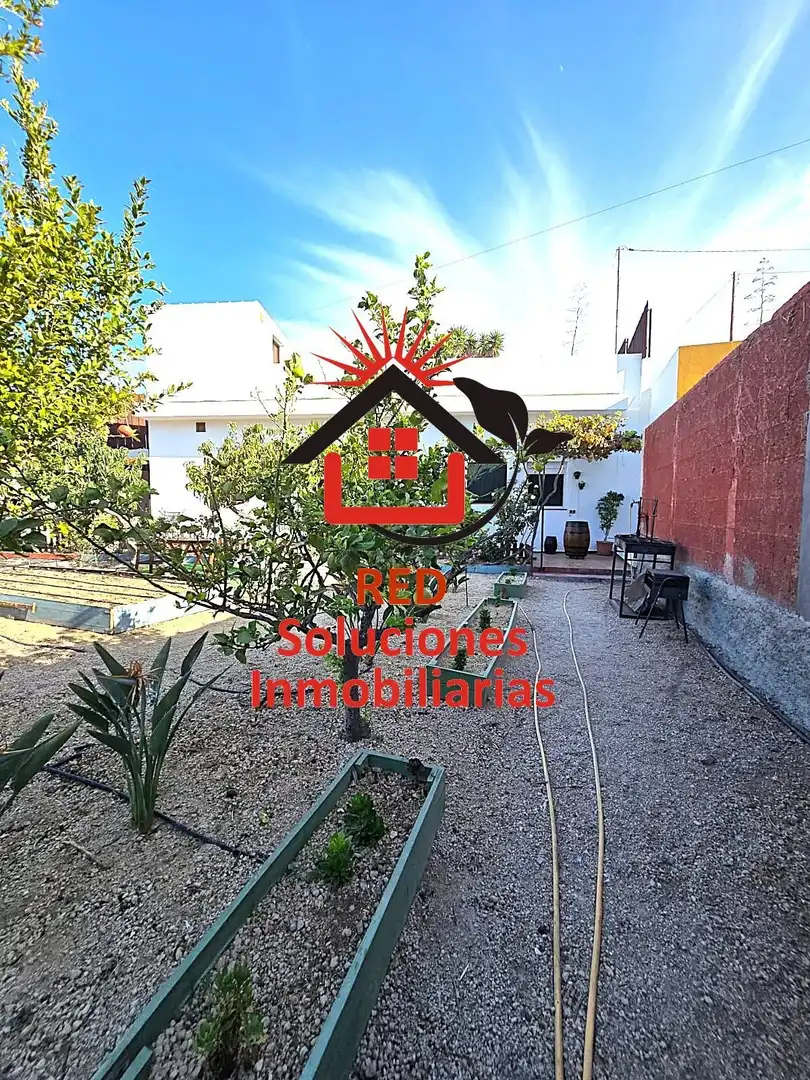 Garden of Country homes for rent in Arico  with Private garden, Terrace and Storage room