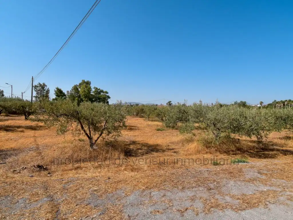 Rustikales Grundstück zum Verkauf in Pedanías Centro, imagen 3