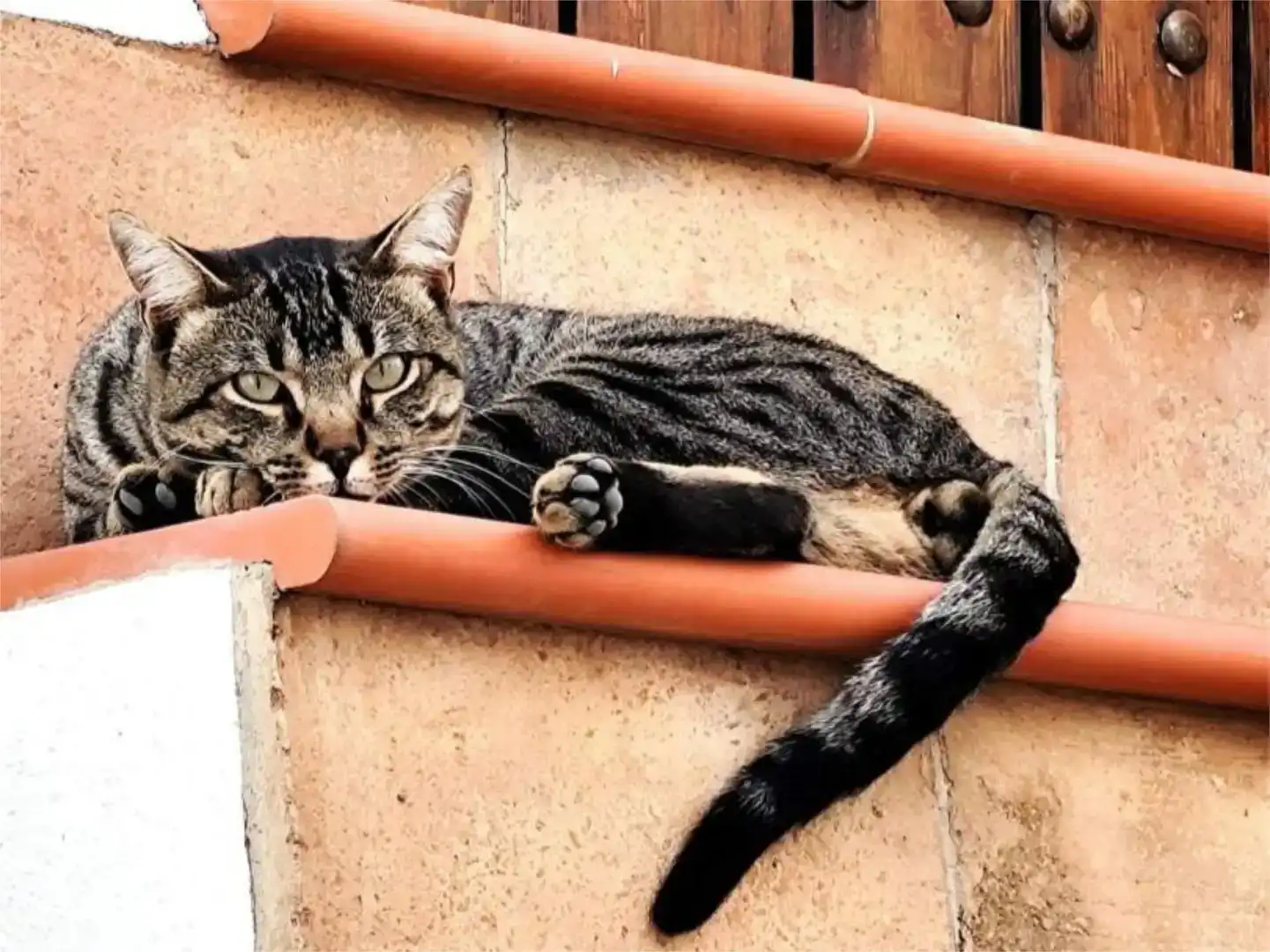 Vista exterior de Casa adosada en venda en Canillas de Albaida amb Aire condicionat, Traster i Balcó