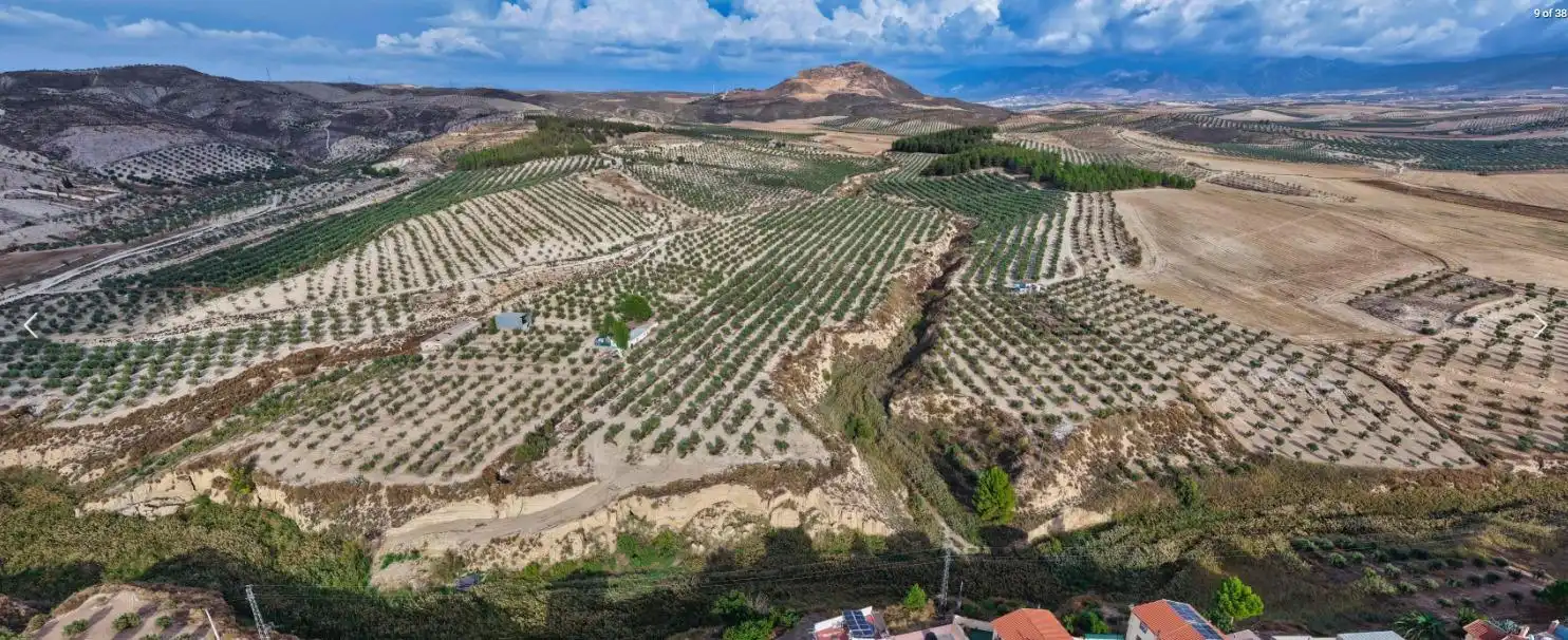 Finca rústica en venta en La Malahá
