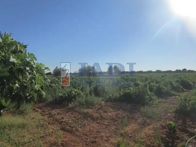 Casa rústica amb piscina en venda a Valdepeñas, imagen 8