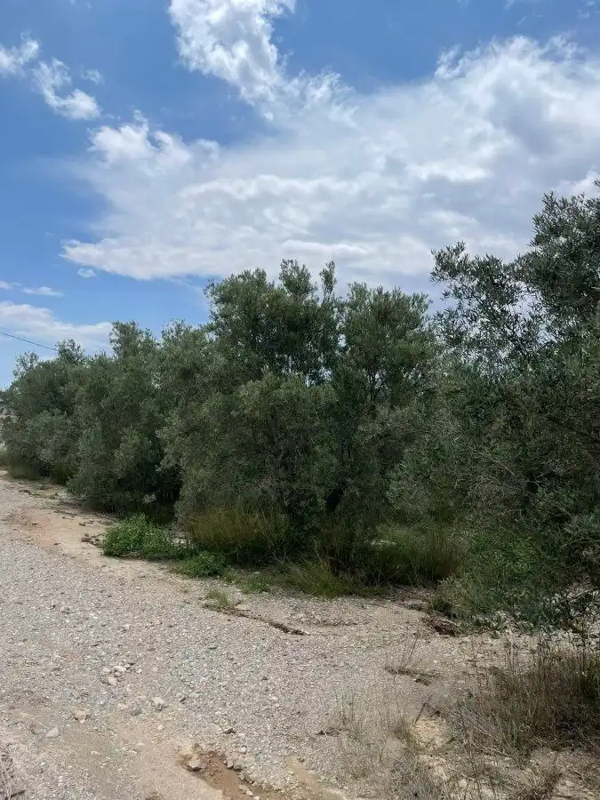 Terrenys i solars en venda a Huércal-Overa, imagen 11