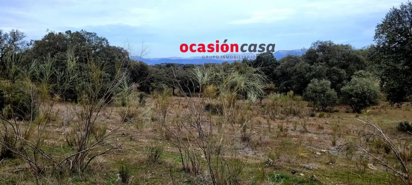 Finca rústica en venta en Torrecampo