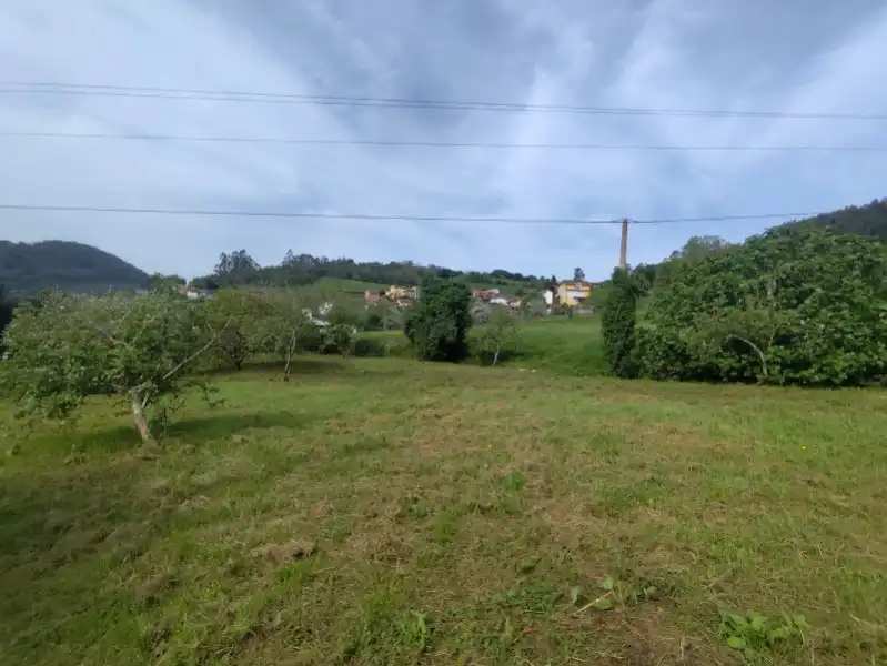 Terreni e lotti in vendita a Pravia, imagen 6