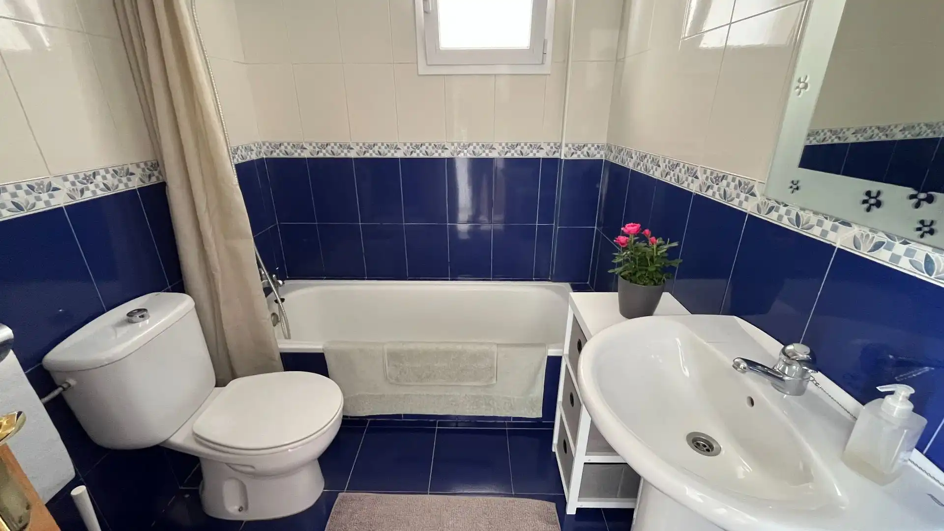 Casa o chalet en venta en Coloma