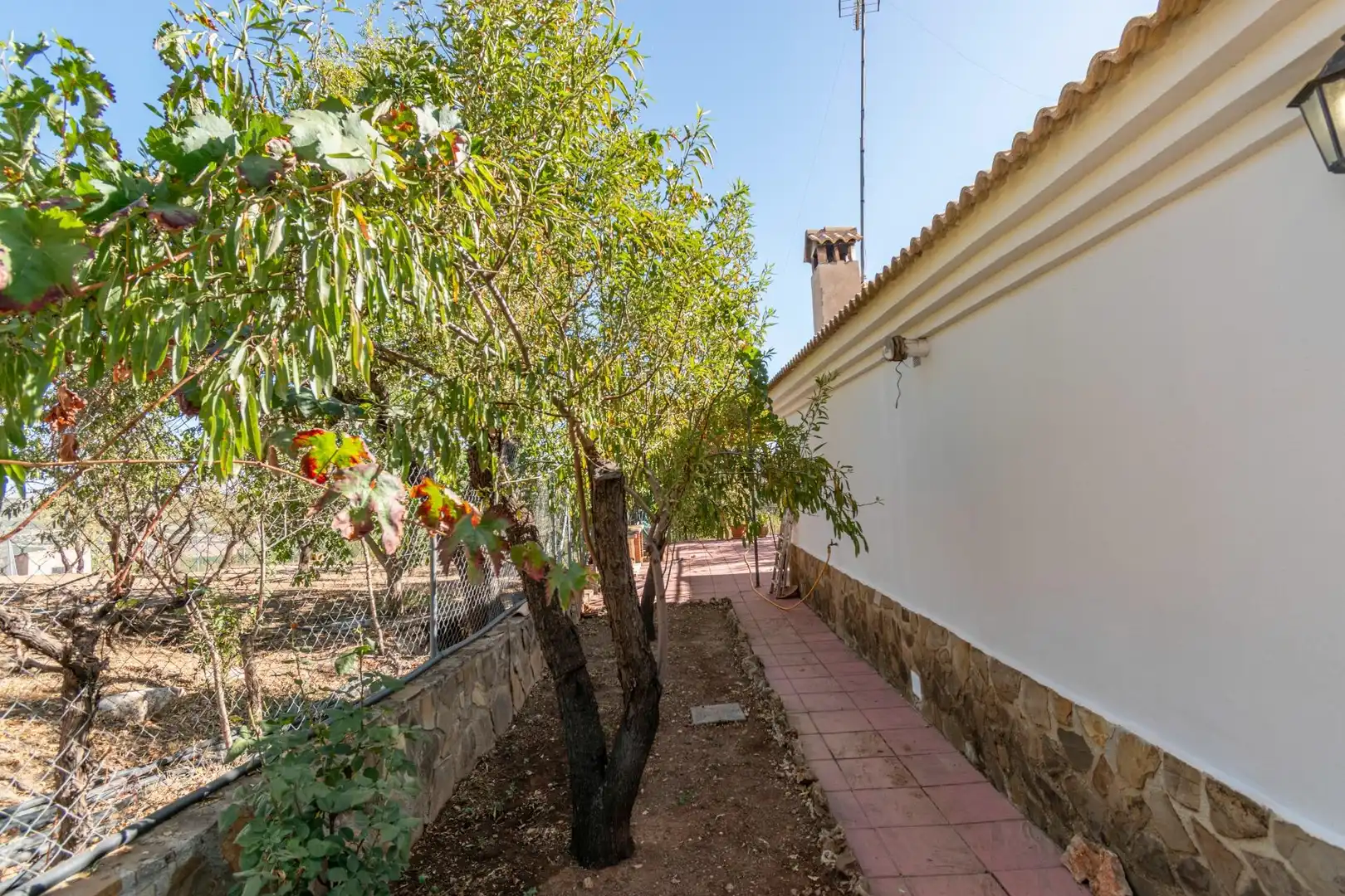 Finca rústica en venta en Vereda morollon, La Peza
