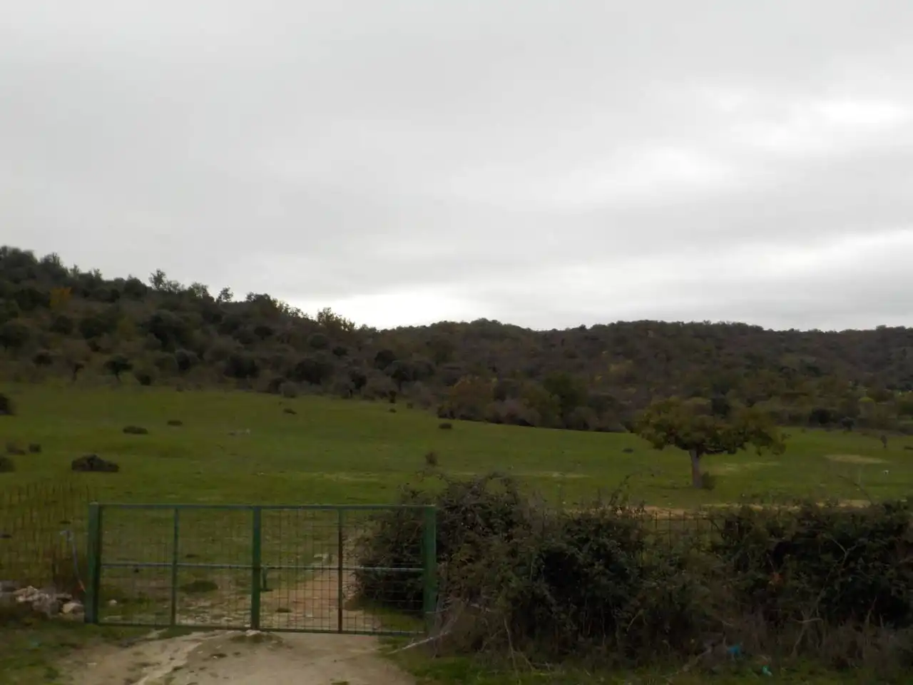 Terreno en venta en Puebla de Azaba